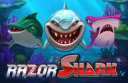 razor shark screenshot